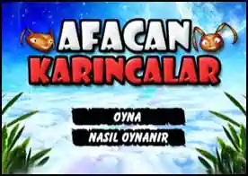 Afacan Karıncalar