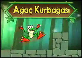 Ağaç Kurbağası