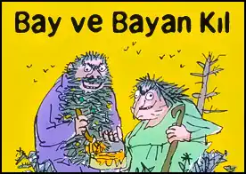 Bay ve Bayan Kıl