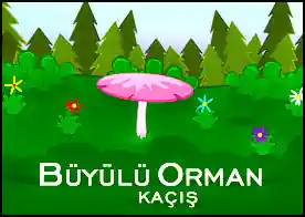 Büyülü Ormandan Kaçış