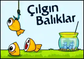 Çılgın Balıklar