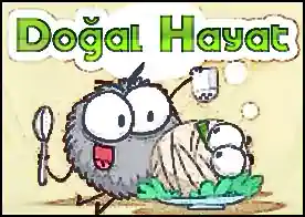 Doğal Hayat