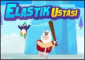 Elastik Ustası