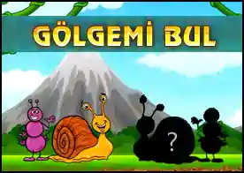 Gölgemi Bul