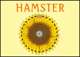 Hamster