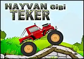 Hayvan Gibi Teker