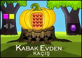 Kabak Evden Kaçış