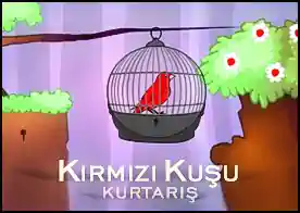 Kırmızı Kuşu Kurtarış