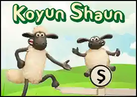 Koyun Shaun Şampiyona