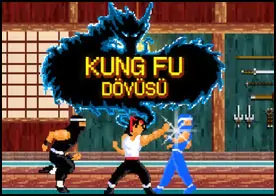 Kung Fu Dövüşü