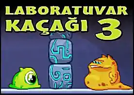 Laboratuvar Kaçağı 3