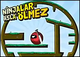 Ninjalar Asla Ölmez