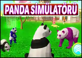 Panda Simülatörü 3D