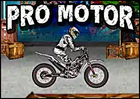 Pro Motor