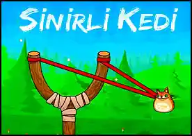 Sinirli Kedi