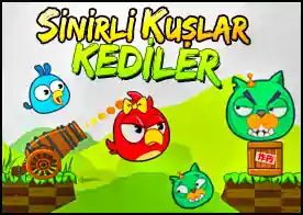 Sinirli Kuşlar ve Kediler