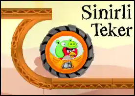 Sinirli Teker