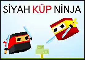 Siyah Küp Ninja