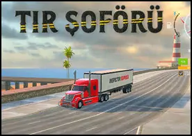 Tır Şoförü