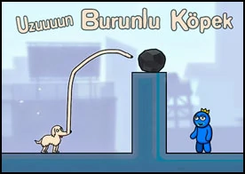 Uzun Burunlu Köpek