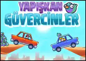 Yapışkan Güvercinler