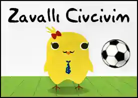 Zavallı Civcivim