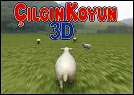 Çılgın Koyun 3D